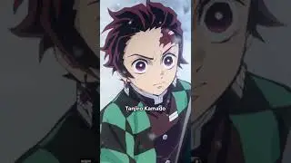 Which Demon Slayer Have You Researched?