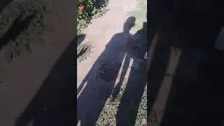 Нур