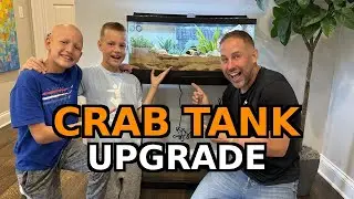 We upgraded our hermit crab setup!  Check out their new home!!!