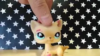 LPS:Распаковка посылки