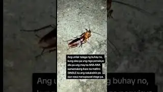 Ang Unfair talaga🤣🤣#shorts #short #shortvideo #subscribe