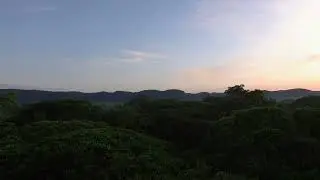 Canopy Tower at La Manigua Lodge