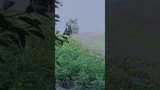 Жнива 2024 молотимо ячмінь #жнива #механизатор #комбайны #claas #protector #село