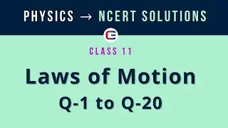 Laws of Motion | NCERT Solutions | Q 1 to 20 
