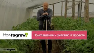 Приглашаем стать участником проекта HOWTOGROW