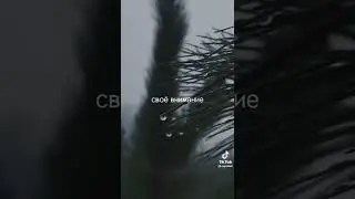 motivation-мотивация