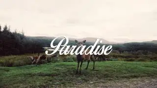 Josef Salvat   Open Season The Chainsmokers Remix