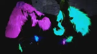 Black Desert -Cartyan Party- REMASTERED