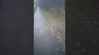 ДОЖДИК!! _ЧО