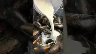 Mussels in creamy sauce