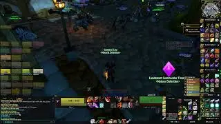 Wow Raiding 23.9