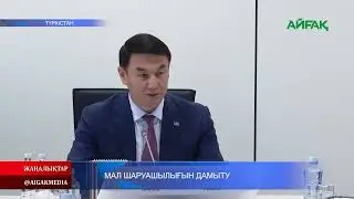 23.08.2024 ж. МАЛ ШАРУАШЫЛЫҒЫН ДАМЫТУ