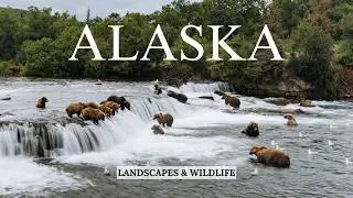 Jaw-dropping Alaska Landscapes & Wildlife