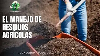 EL MANEJO DE RESIDUOS AGRÍCOLAS