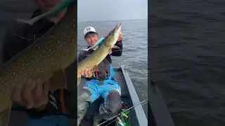 BIG BITE - DAGSTER 225