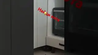 #russia