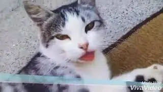 ....