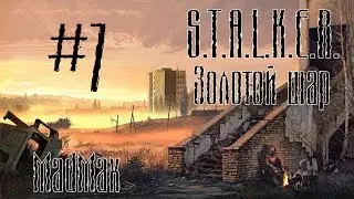 STALKER: Золотой шар. Завершение. Часть 7 - Бомж