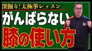 膝の使い方でもっと楽になる【深掘り太極拳レッスン】わかりやすく解説。初心者からベテランまで誰でも気軽にできる心地良い中村げんこうの太極拳、簡化24式太極拳・健康・瞑想・養生・陰陽・癒し・学び・生きる