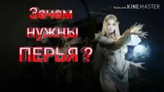 ТРАТИМ ПЕРЬЯ в Lineage 2M