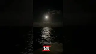 храни Аллах Всех Мусульман. Амин