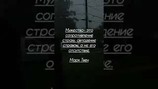 #цитаты#книги#психология#выражения#философия#твен#мужество#страх#музыка#мудрыеслова