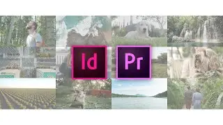 EASY step-by-step video grid: InDesign & Premiere Pro