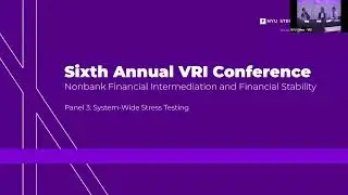 Panel: System-Wide Stress Testing | Volatility and Risk Institute Conference 2025