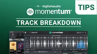 Track Breakdown | Momentum Tips
