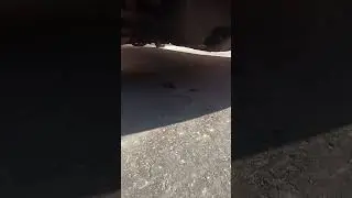 ЛАЙФХАК С МАСЛОМ АВТО 