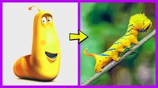 Larva Characters In Real Life