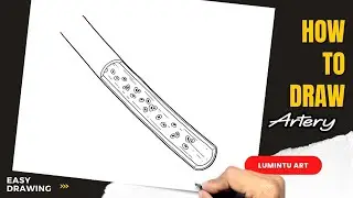 How to draw Artery - Easy Artery Drawing