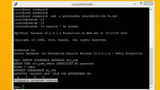 Oracle|HOT CLONE ORACLE 12C Database step by step 2018