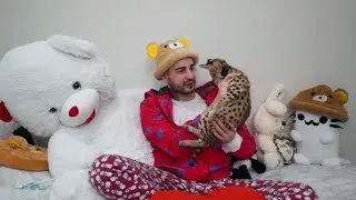 Мама Ава и Папа Симба КОТА GUCCI ЗА ПОЛМИЛЛИОНА РУБЛЕЙ!
