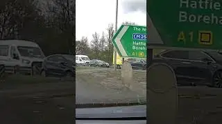 Who’s at fault? 🤔 