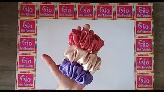 Scrunchie or barrette 