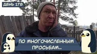 (День 178) По многочисленным просьбам...
