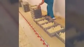 Алель Агро Алматинка