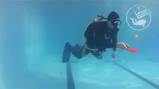 Дайвинг в Сибири)