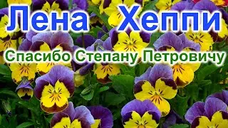 Лена Хеппи. Спасибо Степану Петровичу