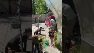 ЖЕНЩИНА КОШКА 😱 #отношения #dance #genderreveal #беременность #duet #military #семья #travel #топ