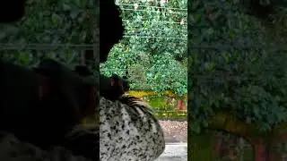 air gun vs lighter...