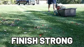 I've Been Reel Mowing Turf Type Tall Fescue For A Full Year - How Did It Turn Out?