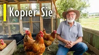 Feeding Chickens Without Cost: The Amish Home Method