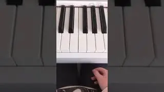 ‘’Мышка сосиска’’ песенка на фортепиано