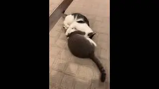 Самое ценное, что может быть в отношениях - это взаимность