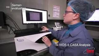 eSMILE - Integrated software for stud laboratory traceability management