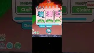 Claiming my pets on daycare!