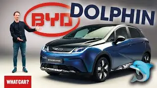 NEW BYD Dolphin – strange name, great EV? | What Car?