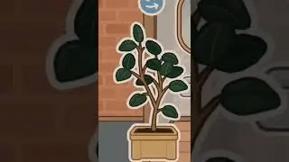 извините за отсутствие, надеюсь вернусь) сделаем актив? я скучада 😭🥺//// 🦋🌿